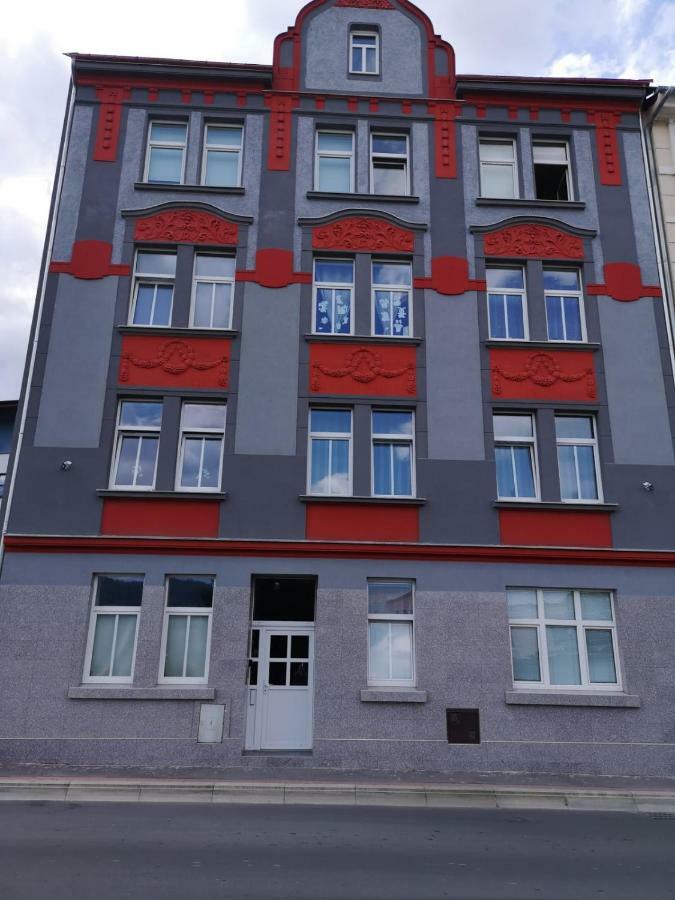 Krasny V Centru Decina Apartment